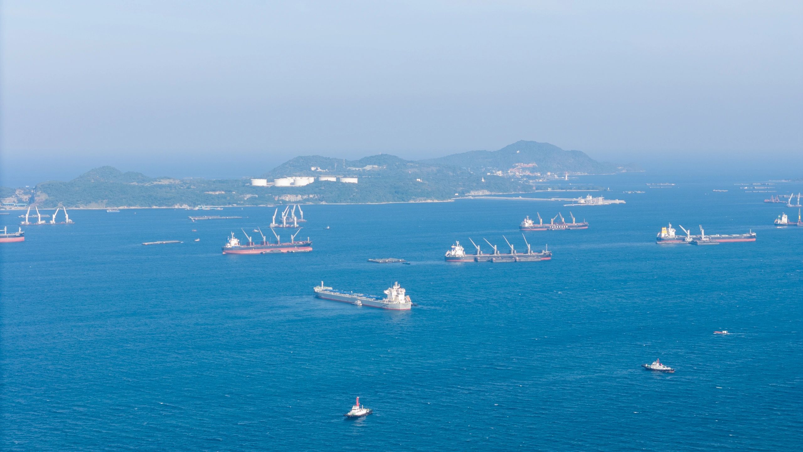 Cargo ships anchored at sea representing maritime operations